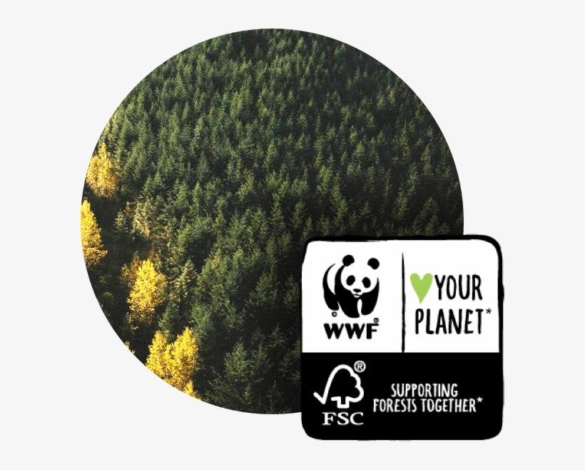 Cottonelle Supports The World Wildlife Fund With Sustainably - Aloe & E : Cottonelle Gentlecare With Aloe, transparent png download