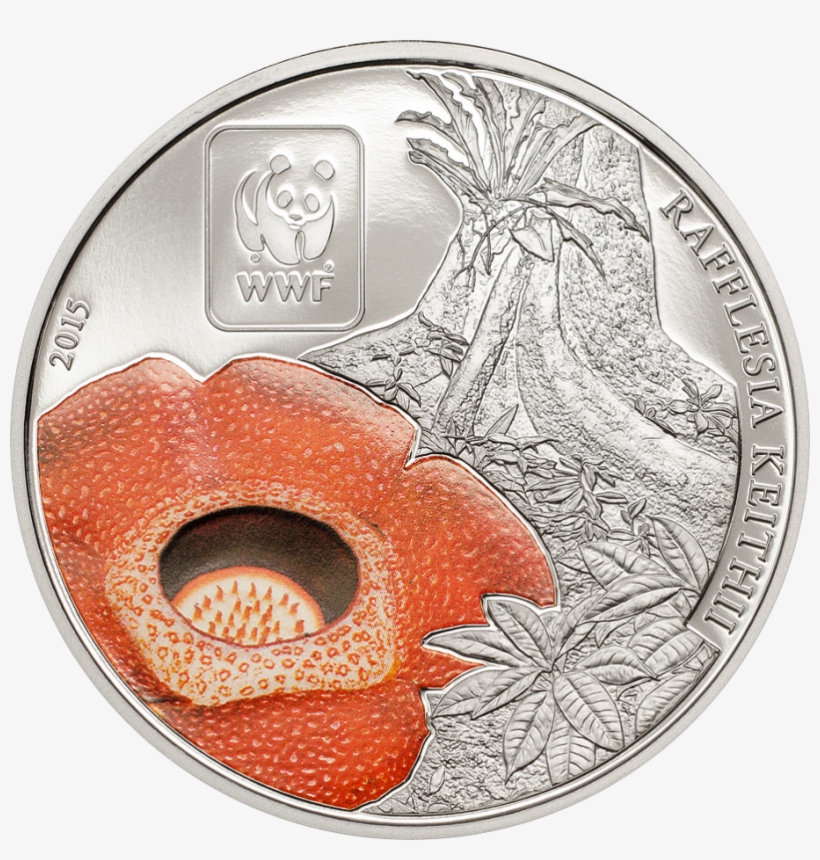 Wwf Rafflesia - Central African Republic, transparent png download