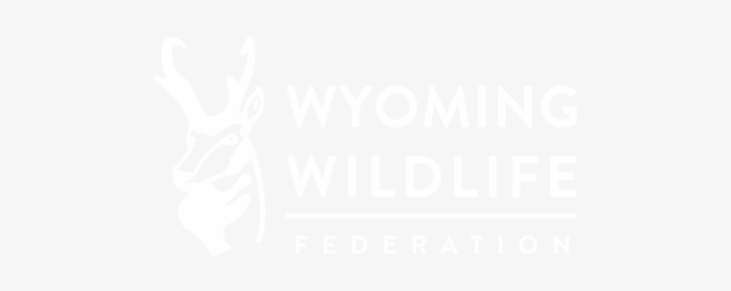 Wyoming Wildlife Federation - Clothing Next Sale, transparent png download
