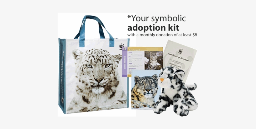 Snow Leopard Adoption Kit, transparent png download