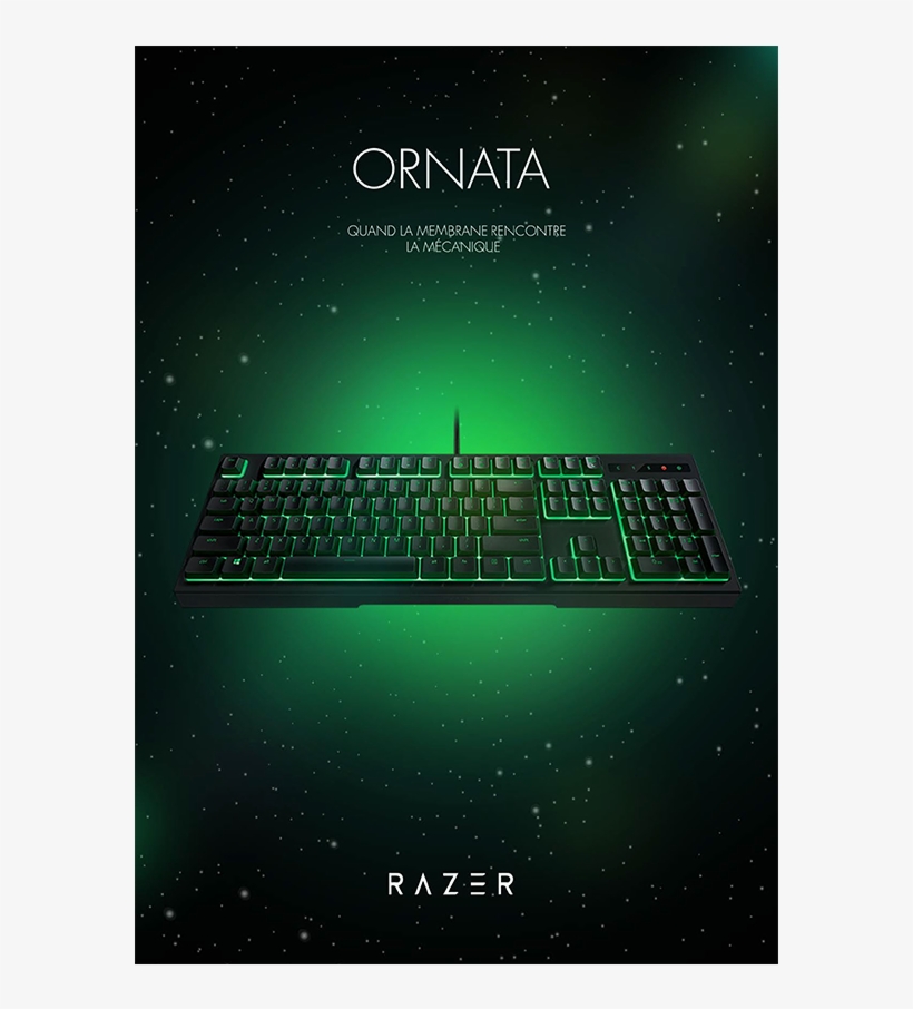 Innovation Créative Rt Novolab Info - Razer Ornata Expert Gaming Keyboard, transparent png download