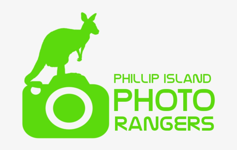 Photo Rangers Logo Roo Green - Extra Fm, transparent png download