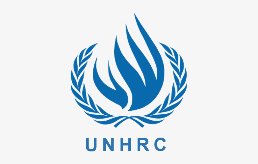 Increase Over States Without Copyrights - United Nations Human Rights Logo, transparent png download