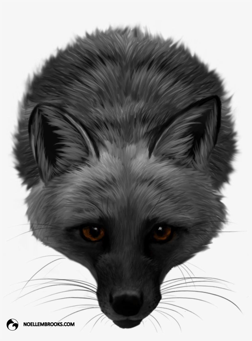 Fox Domestication And Pet Ownership - Domesticated Red Fox, transparent png download