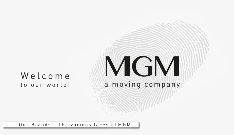 Mgm Spa Is An Historic Company Of The Italian Sports - M.g.m. S.p.a., transparent png download