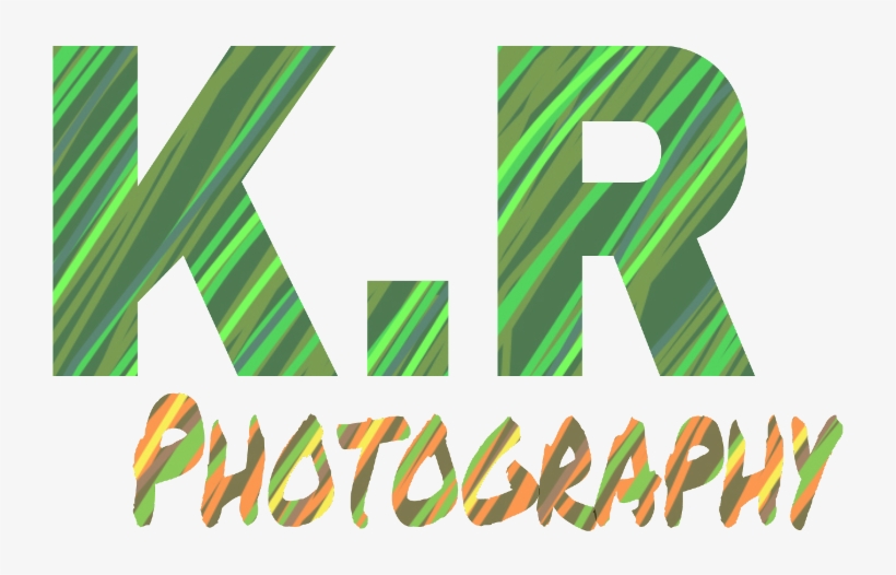 Checkout My Logo Logo Logo-creation - Graphic Design, transparent png download