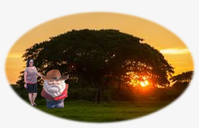 Conluigi3 - Toddler, transparent png download