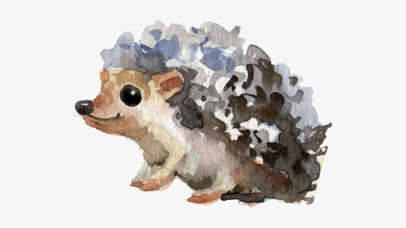 That All Of Us Could Experience The Same Freedom And - 刺猬 水彩, transparent png download