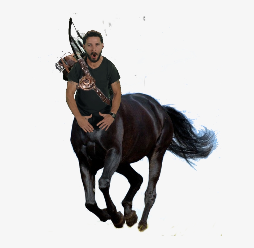 Shia Labeouf Do It Transparent Background - De Chevaux En Prairie, transparent png download