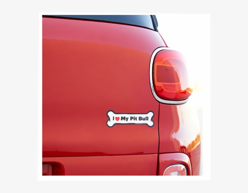 A Gift For The Expressive - Pit Bull, transparent png download