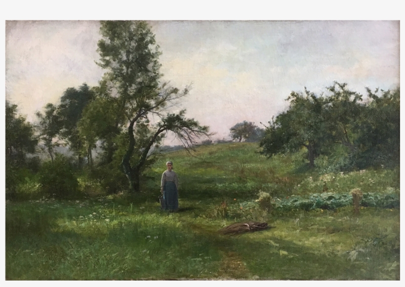 Go To Image - Tree, transparent png download