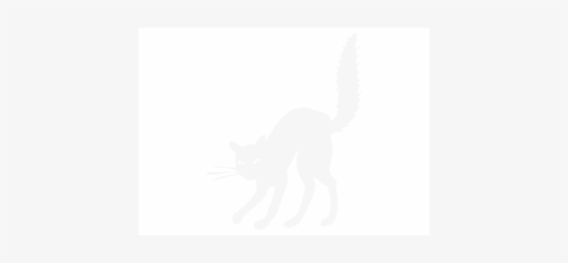 Angry Cat Png, transparent png download