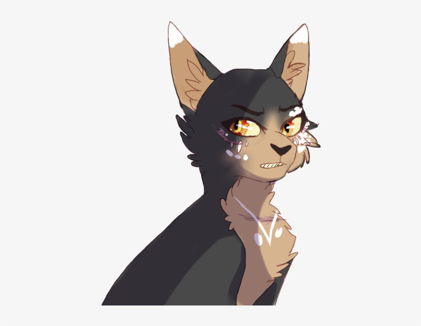 Angry Golden Cat Girl - Wiki, transparent png download