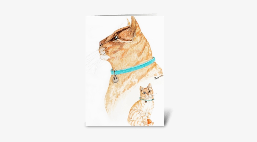From A Kitten To Cat Greeting Card - Domestic Short-haired Cat, transparent png download