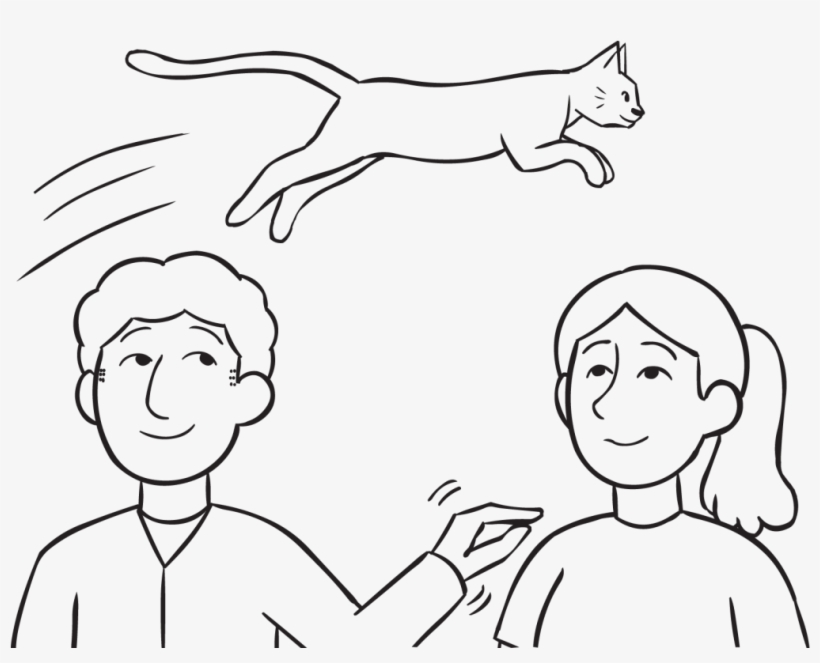 Cat On Yer Head - Cay, transparent png download