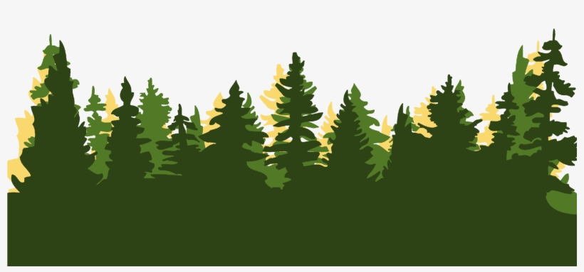 Register Here - Christmas Tree, transparent png download