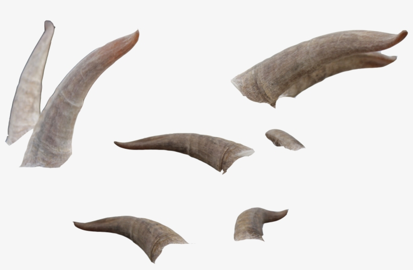 Goat Horns Png - Horns Png, transparent png download
