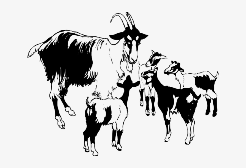 Goat Clipart Family - Goats Clipart Black And White, transparent png download