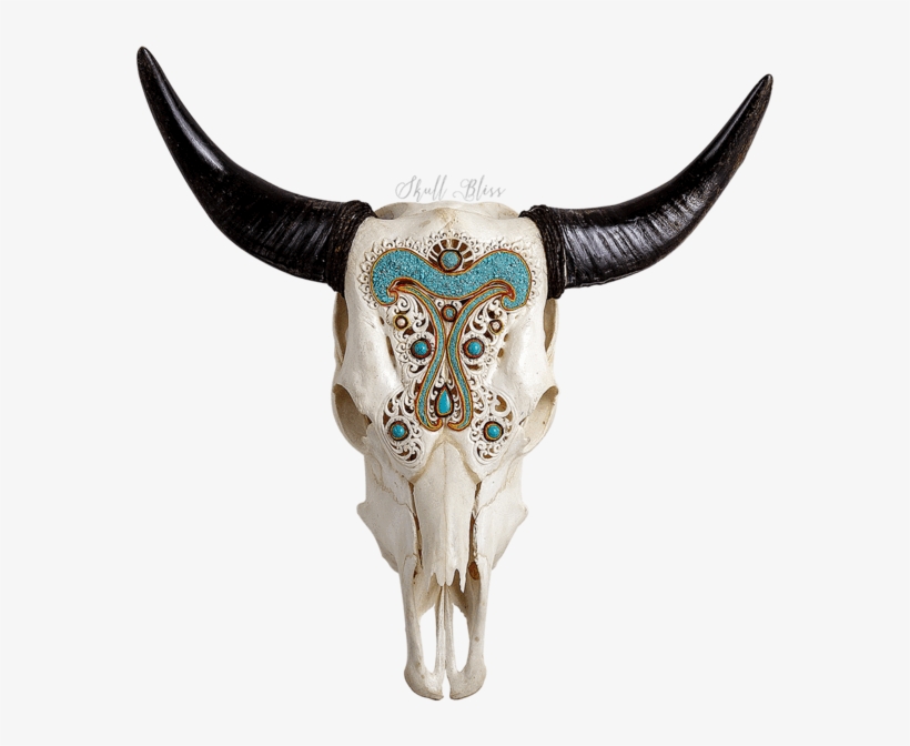 Carved Cow Skull // Xl Horns - Cattle, transparent png download
