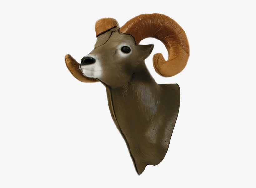 Bighorn Sheep 3d Archery Target Replacement Head Archery Animal