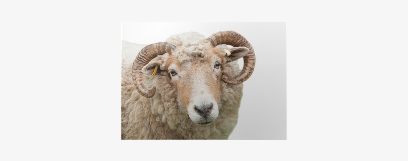 Janod Farm Lovely Puzzle, transparent png download