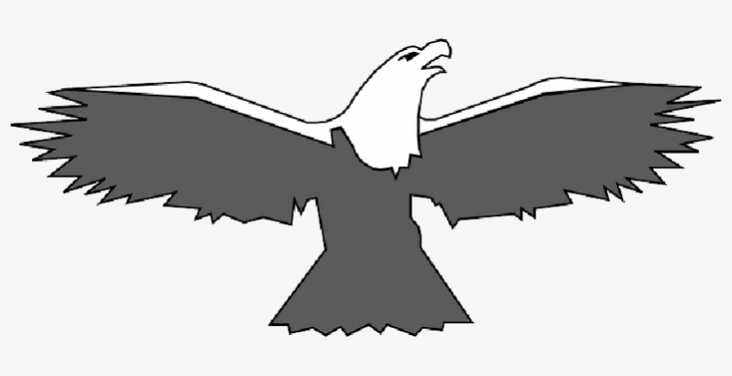 Mb Image/png - Eagle, transparent png download
