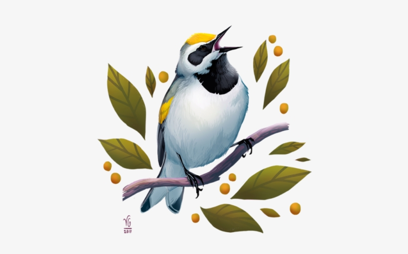 Golden-winged Warbler For The Clo - Bird, transparent png download