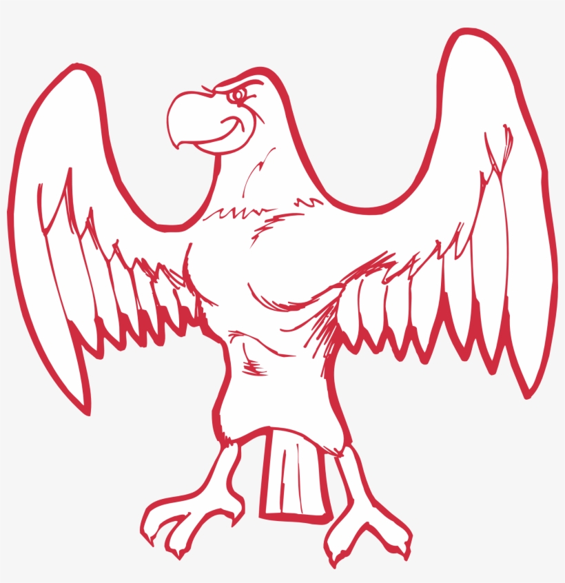 Spread Eagle Bird Wings Strong - Bird, transparent png download