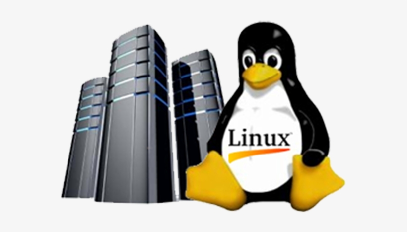 Linux Hosting Clipart Hosting Png - Linux Aws, transparent png download