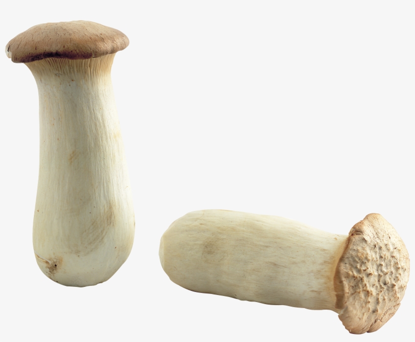 Mushroom Png Image - Mushroom, transparent png download
