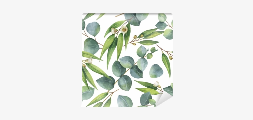 Watercolor Vector Seamless Pattern With Eucalyptus - Flowers Watercolour Eucalyptus, transparent png download