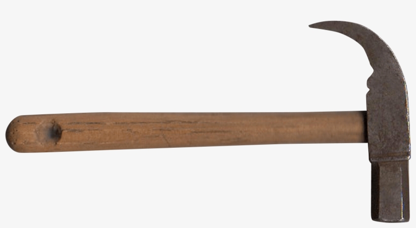 The Concept Of Function Is Ubiquitous In Biology - Plank, transparent png download