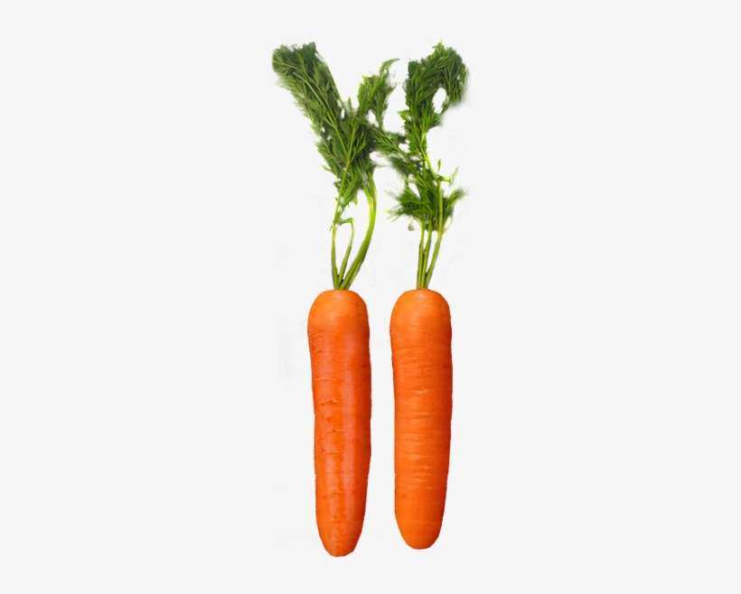 Carrot Plant Png, transparent png download