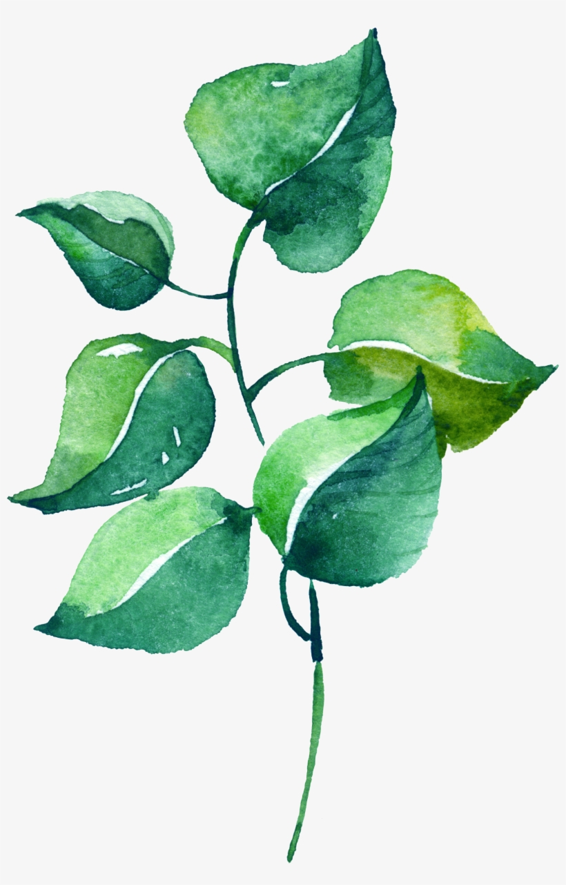 Watercolor Silver Leaf Eucalyptus Branch Png Free - Lavender Flower Watercolor Poster Print Wall Art Home, transparent png download