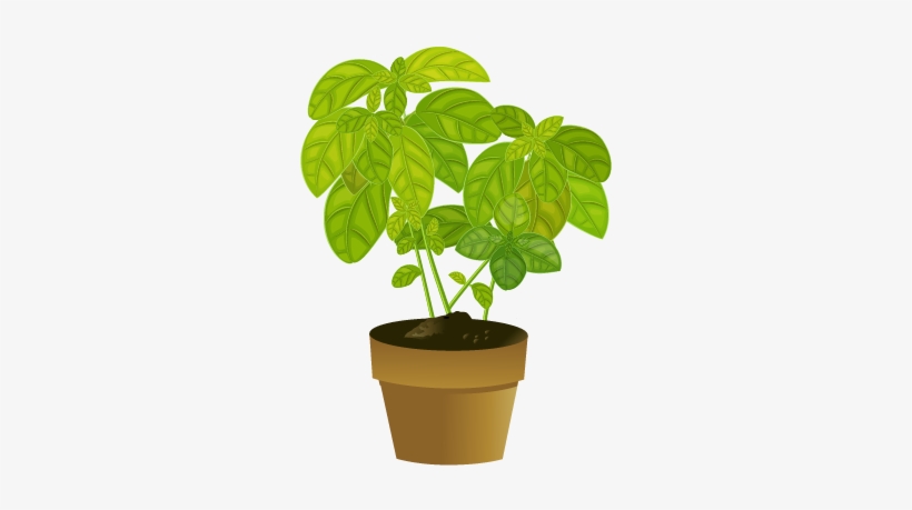 Selecting A Healthy Plant - Healthy Plant, transparent png download