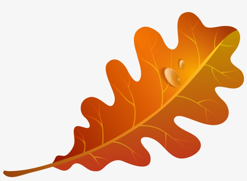 Clip - Autumn Leaf Clipart, transparent png download