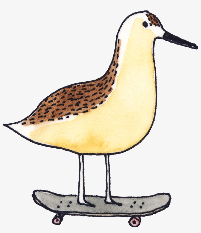Skateboarding Sandpiper - Marc Johns Art, transparent png download