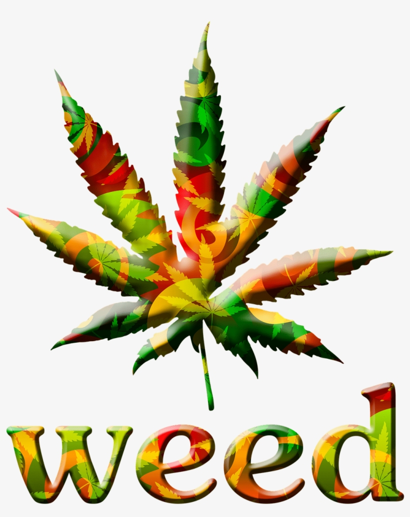 Cannabis Lingo - Weed Desktop, transparent png download