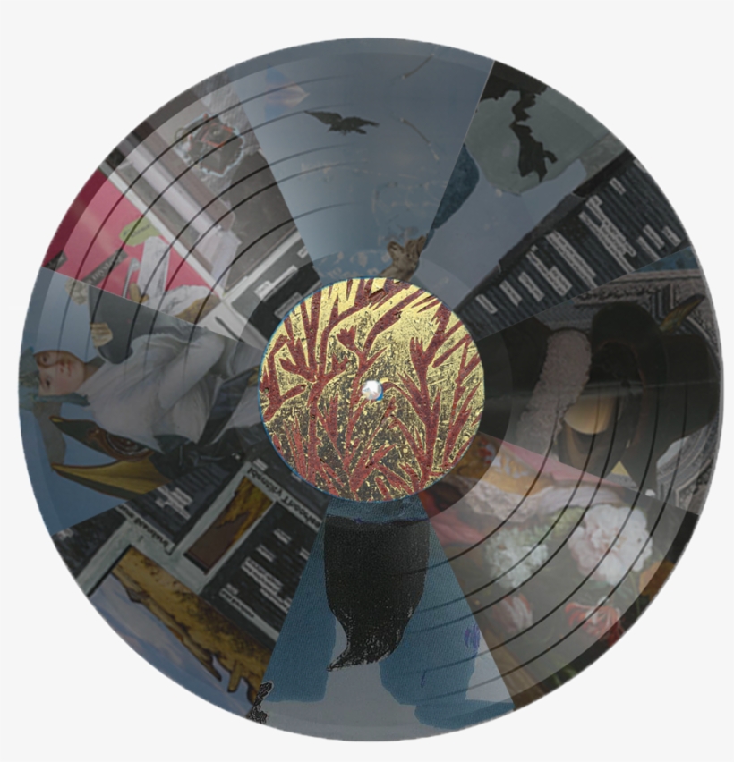 Crow Morphology - Circle, transparent png download