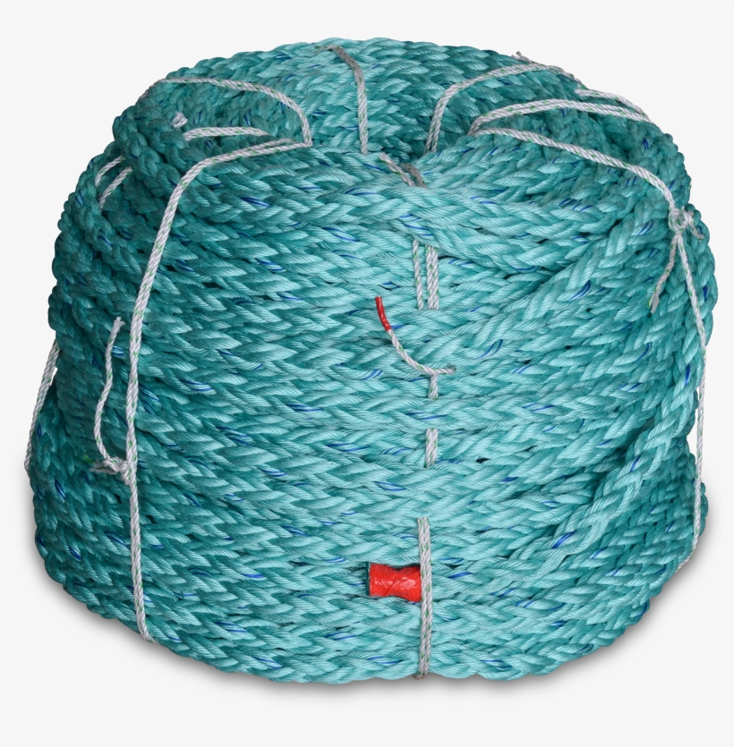 A Registered Trademark Of Cwc, 8 Braid Blue Steel Rope - Blue PNG Image