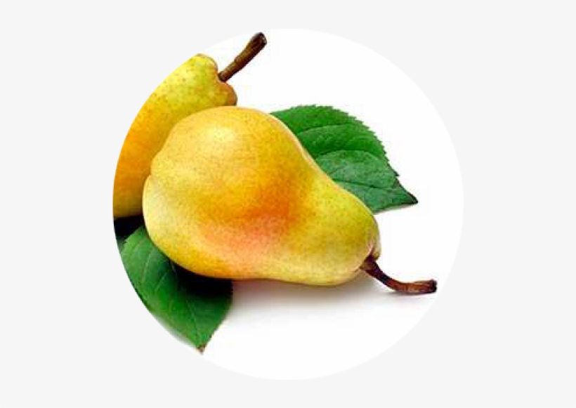 Pear Dushes - Williams Pear, transparent png download