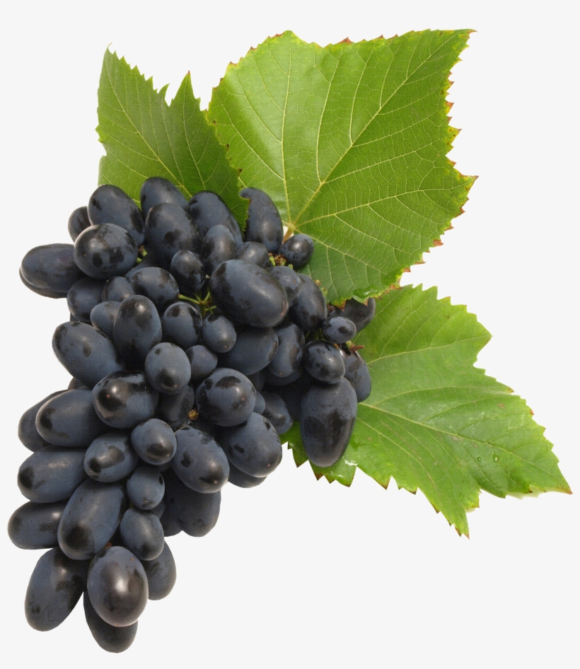 Black Grapes Png Image - Transparent Grapes, transparent png download