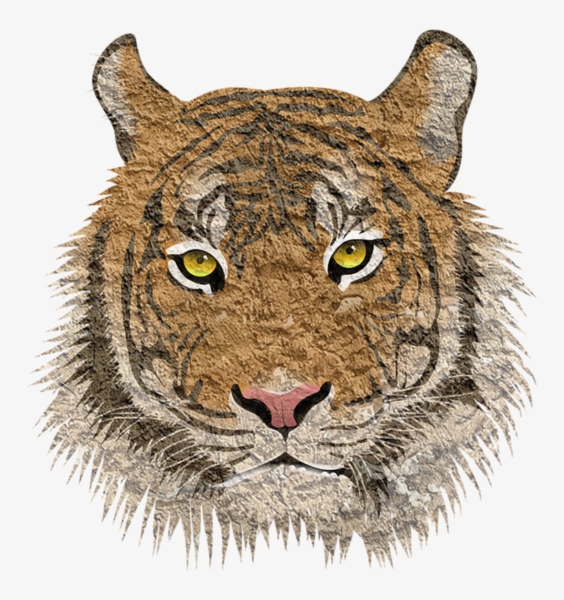 Tiger Cat Animal, transparent png download
