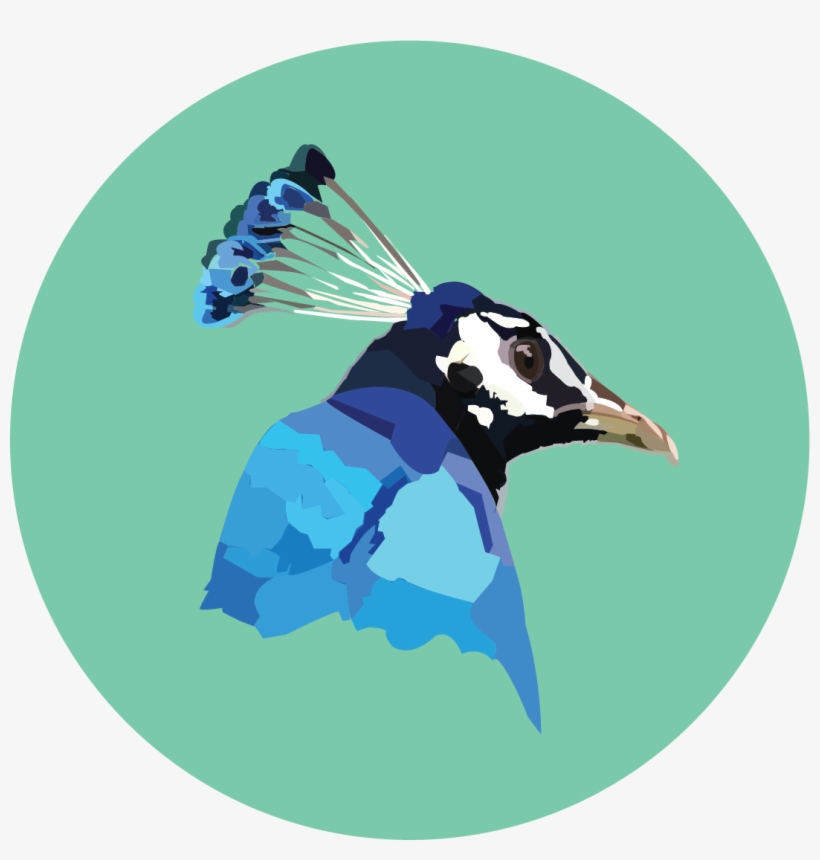 Portrait Of A Man, transparent png download