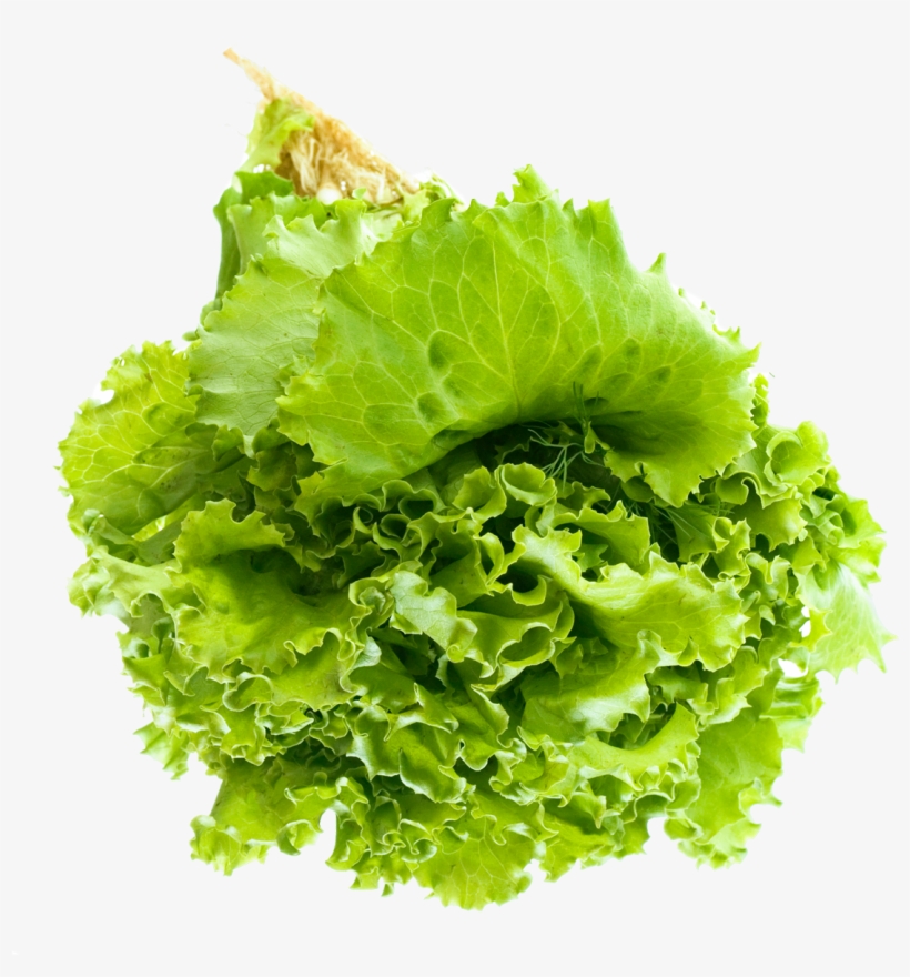 Salad Free Images Toppng - Green Salad Leaf Png, transparent png download