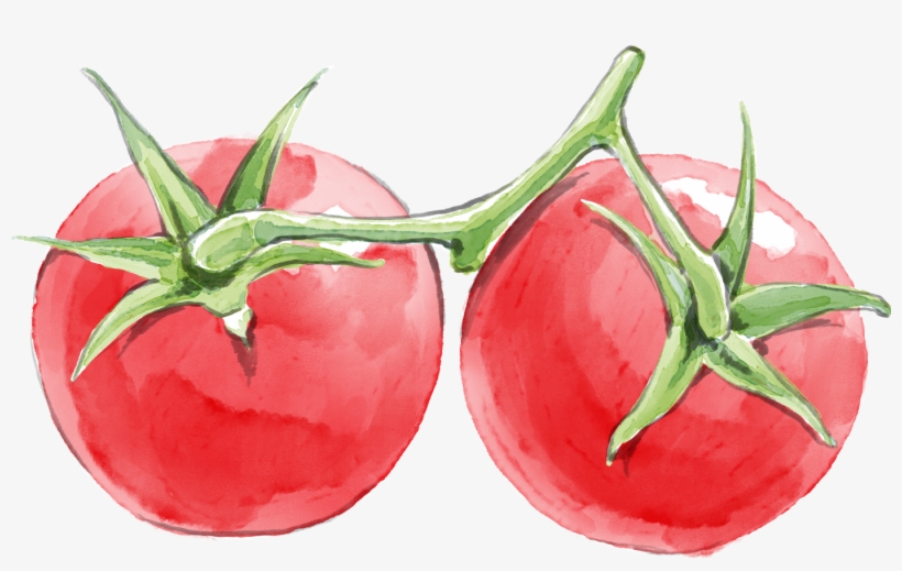 ¿qué Cocinaré Hoy La Opción Light ¿donde Está Mamá - Cherry Tomatoes, transparent png download