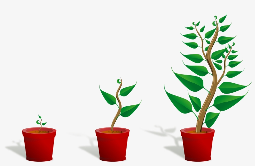 Flower Growing Clipart, transparent png download