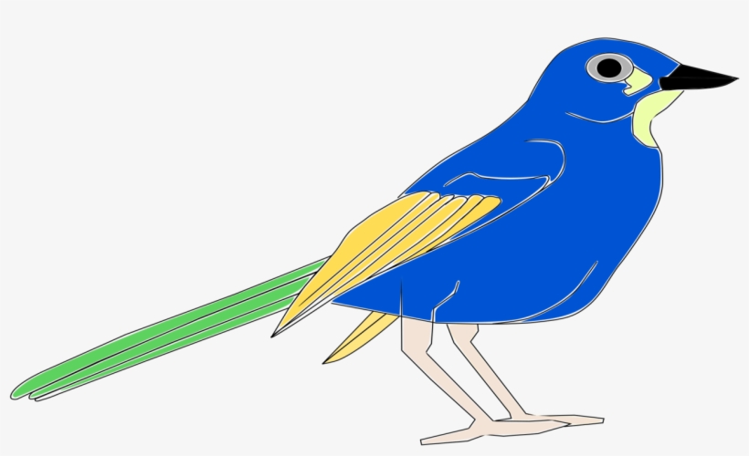 Bird Blue Jay Download - Pajaro Clip Art, transparent png download
