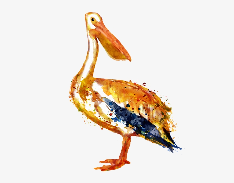Click And Drag To Re-position The Image, If Desired - Pelican Watercolor Painting, transparent png download