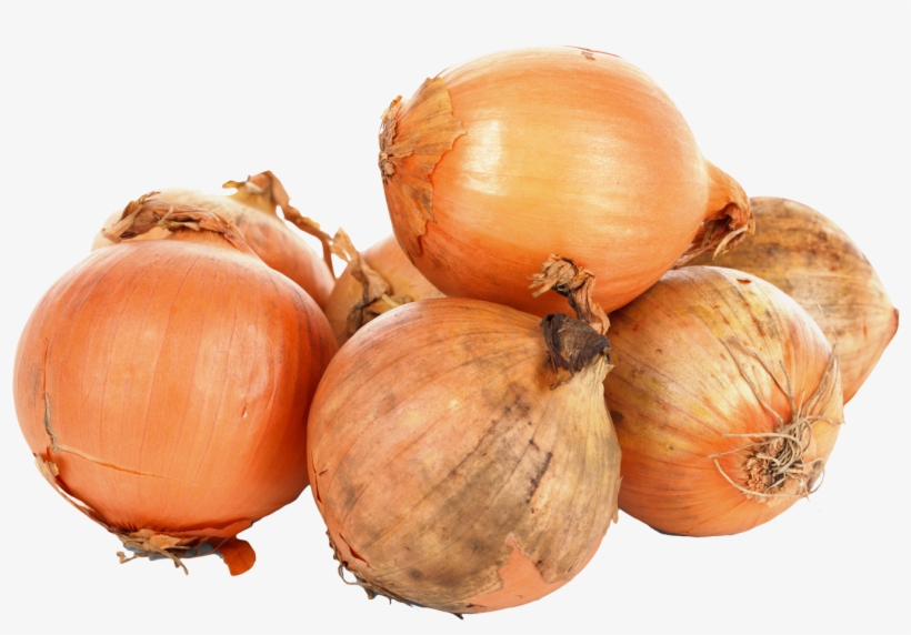 Onions Png, transparent png download